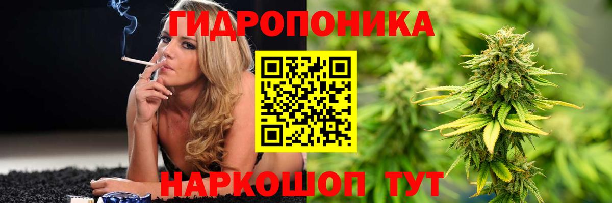 Марихуана тримм  Бошки Шишки тримм  Вход с VPN  Михайловка 